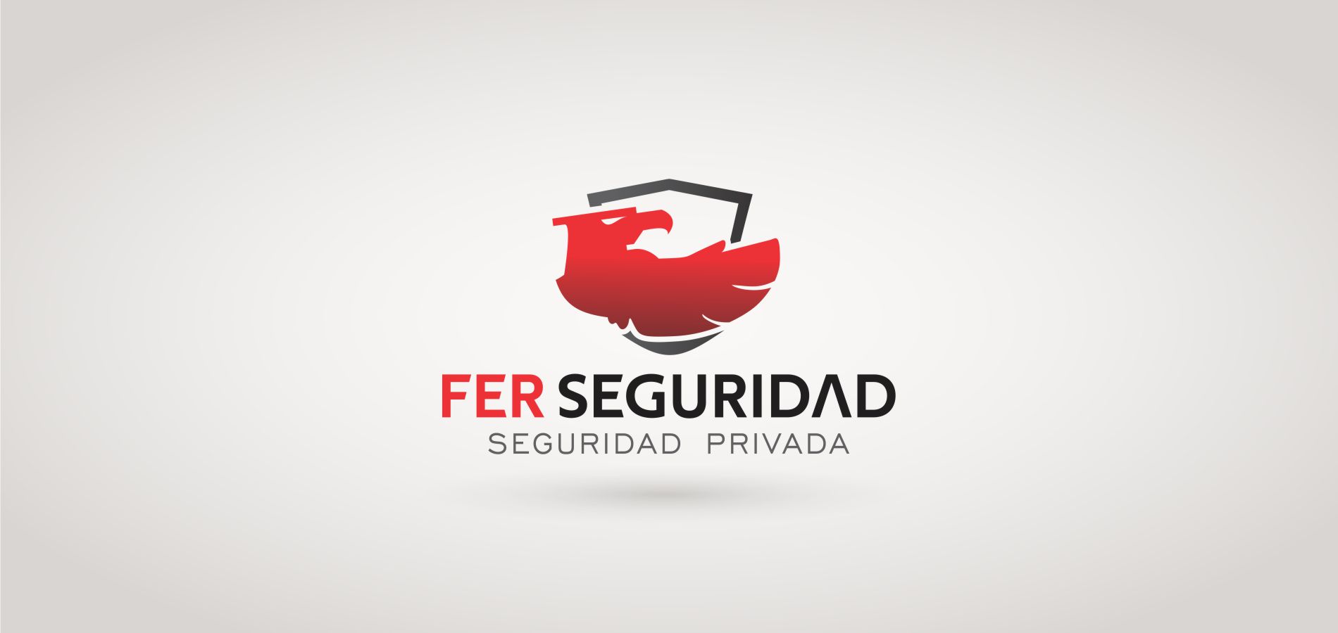 Fer Seguridad