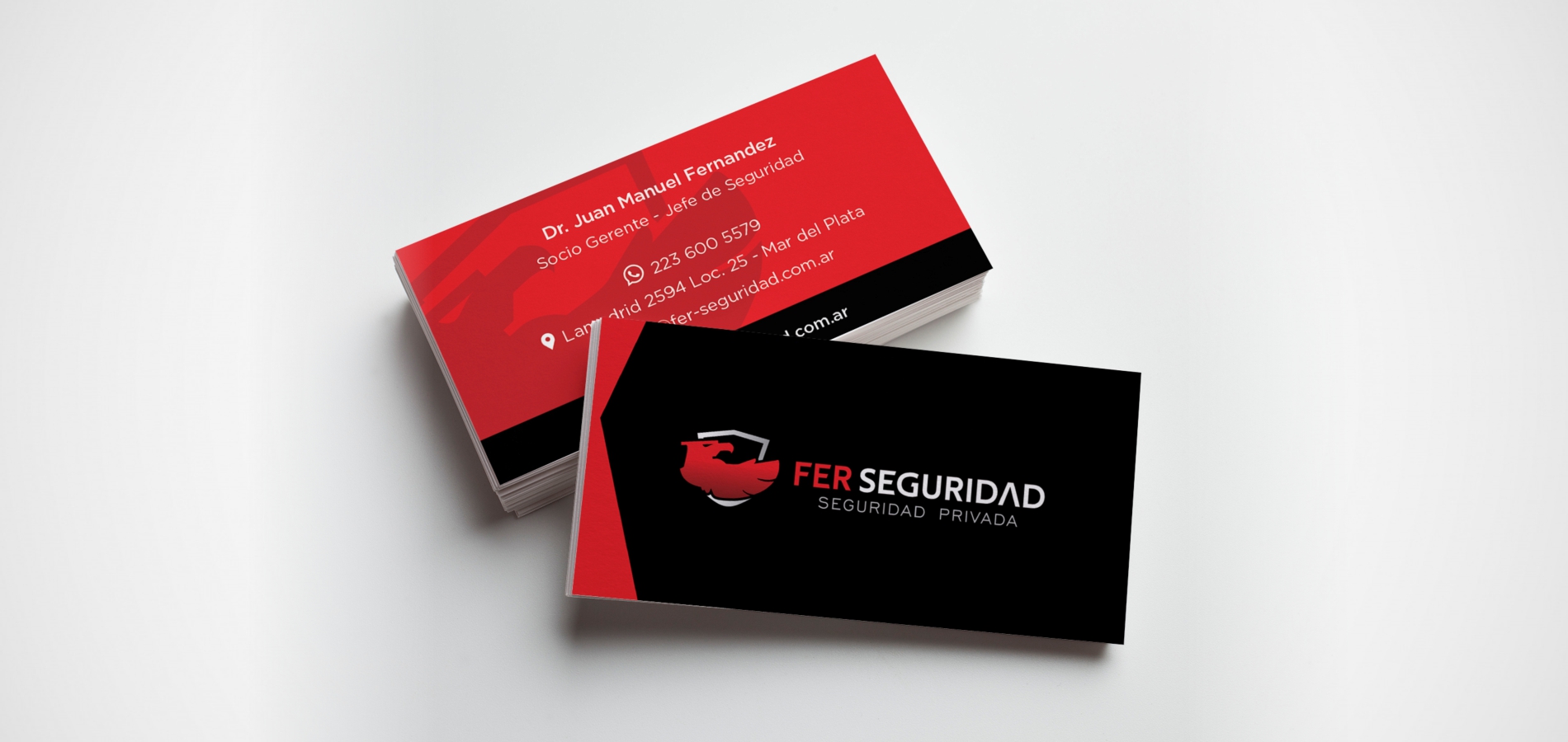 Fer Seguridad